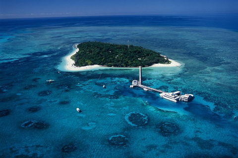 Green Island Discovery Including Glass Bottom Boat Tour Departing Cairns - Accommodation Burleigh 3