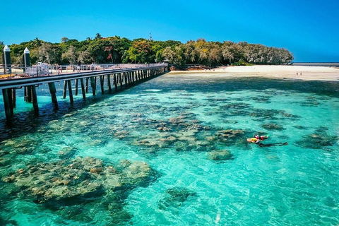 Green Island Discovery Including Glass Bottom Boat Tour Departing Cairns - Accommodation Burleigh 4