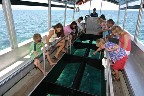 Green Island Discovery Including Glass Bottom Boat Tour Departing Cairns - Accommodation Burleigh 5