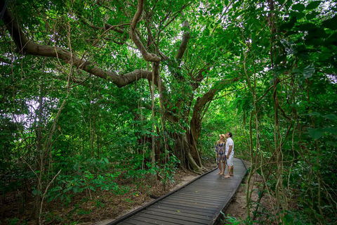Green Island Eco Adventure From Cairns - Accommodation Burleigh 0