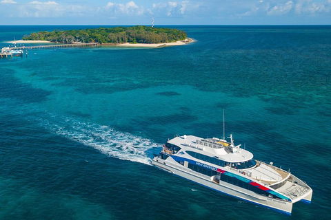 Green Island Eco Adventure From Cairns - Accommodation Burleigh 1