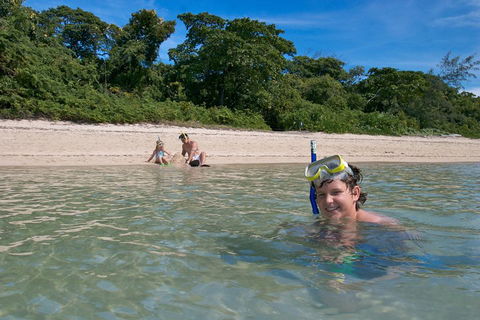 Green Island Eco Adventure From Cairns - Accommodation Burleigh 3