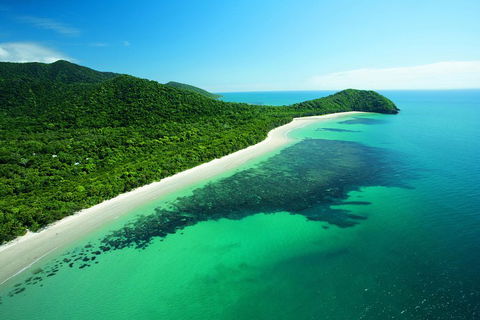 Cape Tribulation, Mossman Gorge, And Daintree Rainforest Day Trip From Cairns Or Port Douglas - Accommodation Burleigh 2