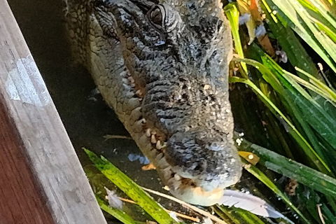 Litchfield Park Adventures And Jumping Crocodile Cruise + Butterfly Farm - Accommodation Burleigh 1