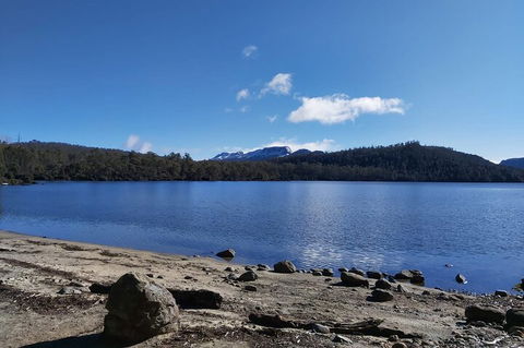 6-Day Hearty Tasmania Tour (Tasmania In A Circle) - Accommodation Burleigh 1
