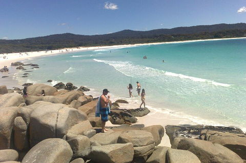 6-Day Hearty Tasmania Tour (Tasmania In A Circle) - Accommodation Burleigh 3