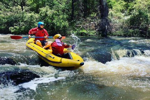 Yarra River Half-Day Rafting Experience - Accommodation Burleigh 4