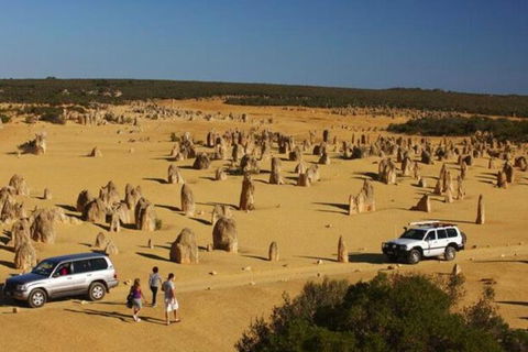 1-Day Pinnacles And Yanchep Tour From Perth Including Fish And Chips Lunch - Accommodation Burleigh 0