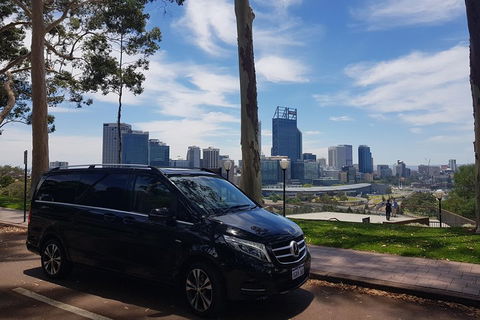 1-Day Pinnacles And Yanchep Tour From Perth Including Fish And Chips Lunch - Accommodation Burleigh 1