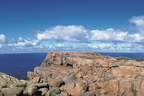 4 Day Tour: Albany, Margaret River, Valley Of The Giants TreeTop Walk From Perth - Accommodation Burleigh 0