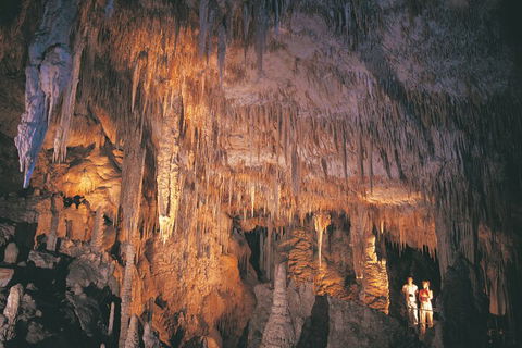 4 Day Tour: Albany, Margaret River, Valley Of The Giants TreeTop Walk From Perth - Accommodation Burleigh 1