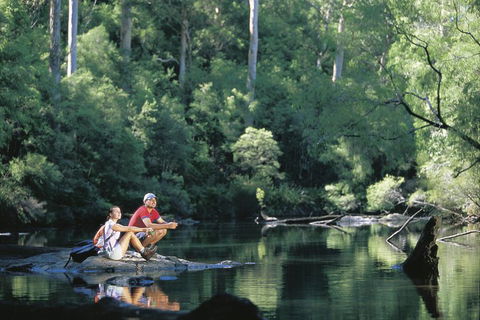 4 Day Tour: Albany, Margaret River, Valley Of The Giants TreeTop Walk From Perth - Accommodation Burleigh 3