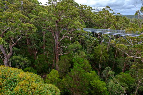 4 Day Tour: Albany, Margaret River, Valley Of The Giants TreeTop Walk From Perth - Accommodation Burleigh 4