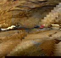 2-Day Wave Rock York Wildflowers  Aboriginal Experience - Accommodation Burleigh