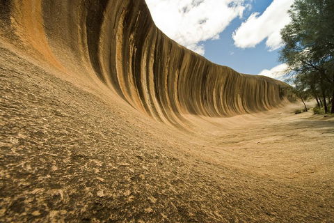Wave Rock, York, Wildflowers, And Aboriginal Cultural Day Tour From Perth - Accommodation Burleigh 0