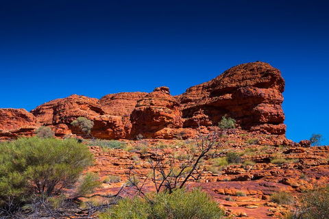 7-Day Guided Tour Of Alice Springs With Accommodation Included - Accommodation Burleigh 4