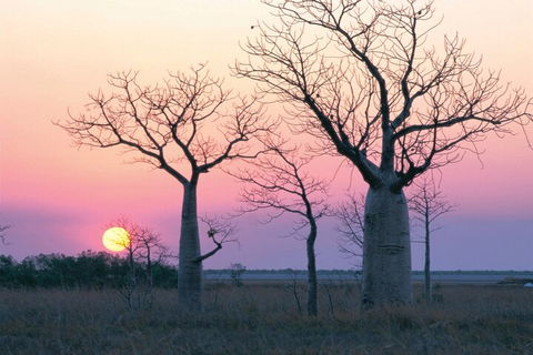 8-Day Outback Experience From Queensland - Accommodation Burleigh 5