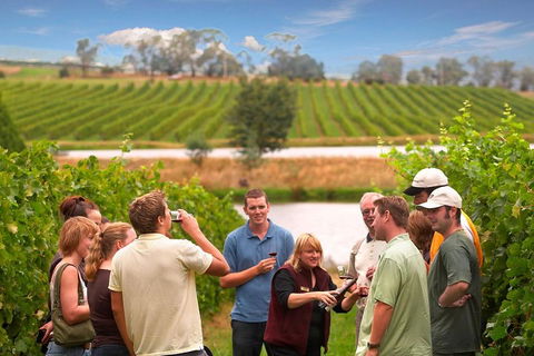 Yarra Valley Wine And Winery Tour From Melbourne - Accommodation Burleigh 0