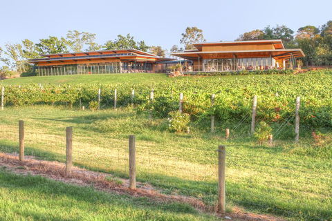 Yarra Valley Wine And Winery Tour From Melbourne - Accommodation Burleigh 1