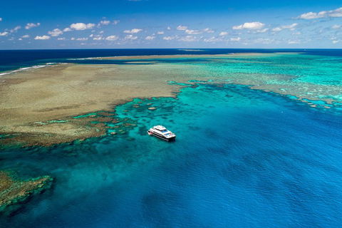 Calypso Outer Great Barrier Reef Cruise From Port Douglas - Accommodation Burleigh 1