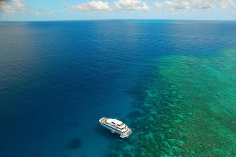 Great Barrier Reef Snorkeling And Diving Cruise From Cairns - Accommodation Burleigh 4