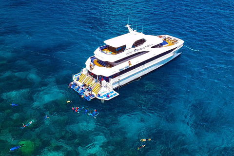Great Barrier Reef Snorkeling And Diving Cruise From Cairns - Accommodation Burleigh 5