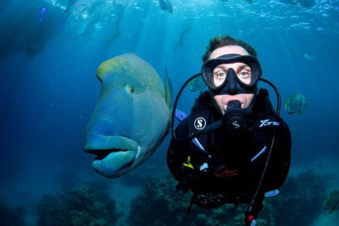 Full Day Reef Cruise Including 10 Minute Heli Scenic Flight: Get High Package - Accommodation Burleigh 1