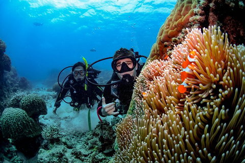 Full Day Reef Cruise Including 10 Minute Heli Scenic Flight: Get High Package - Accommodation Burleigh 5