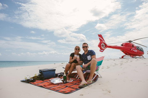Private Helicopter Tour: Reef Island Snorkeling And Gourmet Picnic Lunch - Accommodation Burleigh 1