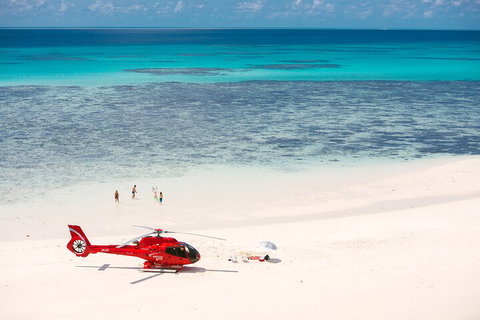 Private Helicopter Tour: Reef Island Snorkeling And Gourmet Picnic Lunch - Accommodation Burleigh 2