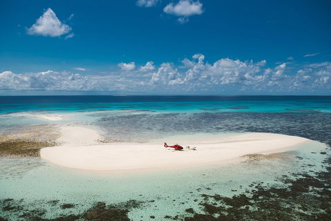 Private Helicopter Tour: Reef Island Snorkeling And Gourmet Picnic Lunch - Accommodation Burleigh 4