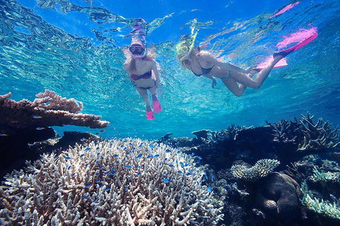 Great Barrier Reef Scenic Helicopter Tour And Cruise From Cairns - Accommodation Burleigh 3