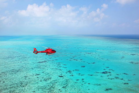 Port Douglas - Cruise And 10 Minute Scenic Flight - Accommodation Burleigh 1