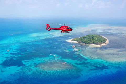Ultimate Great Barrier Reef And Rainforest 45-minute Helicopter Tour - Accommodation Burleigh 4