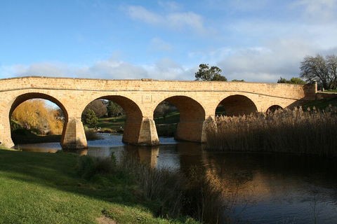 Mt. Wellington, Bonorong And Richmond Day Tour From Hobart - Accommodation Burleigh 4