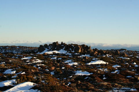 Mt. Wellington, Bonorong And Richmond Day Tour From Hobart - Accommodation Burleigh 5