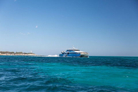 Fremantle To Rottnest Island Roundtrip Ferry Ticket - Accommodation Burleigh 5