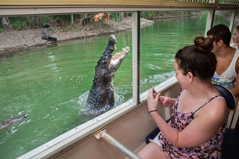 Hartley's Crocodile Adventures Day Trip From Cairns - Accommodation Burleigh 3