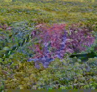 Litchfield Park  Daly River - Scenic Flight From Darwin - Accommodation Burleigh