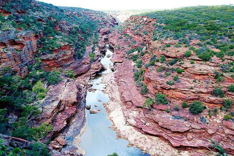 Kalbarri Gorges & West Coast - Ground & Air Tour - Accommodation Burleigh 0