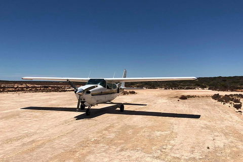 Kalbarri Gorges & West Coast - Ground & Air Tour - Accommodation Burleigh 4