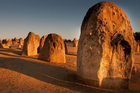 Pinnacles & Rottnest Island Scenic Air & Ground Tour - Accommodation Burleigh 4