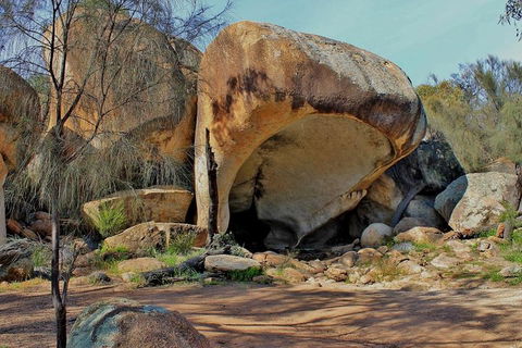Wave Rock Half Day Air & Ground Tour - Accommodation Burleigh 1
