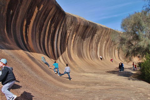 Wave Rock Half Day Air & Ground Tour - Accommodation Burleigh 2