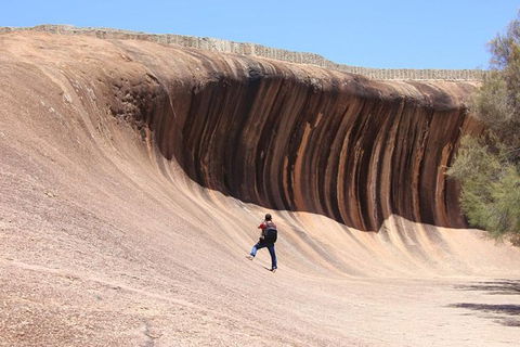 Wave Rock Half Day Air & Ground Tour - Accommodation Burleigh 3