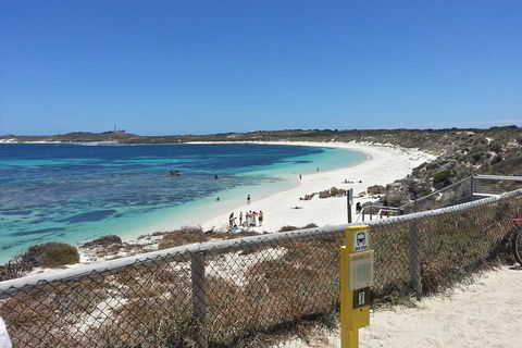 Wave Rock, Pinnacles And Rottnest One Day Aeroplane Tour - Accommodation Burleigh 2