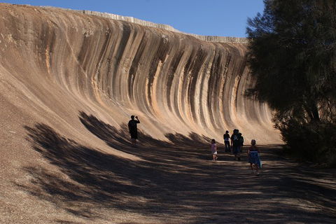 Wave Rock, Pinnacles And Rottnest One Day Aeroplane Tour - Accommodation Burleigh 4