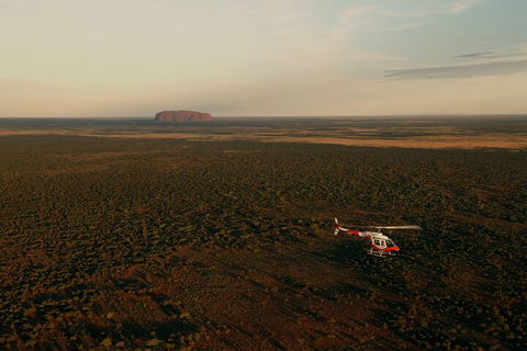 Helicopter Scenic: Lizard Safari - Accommodation Burleigh 4