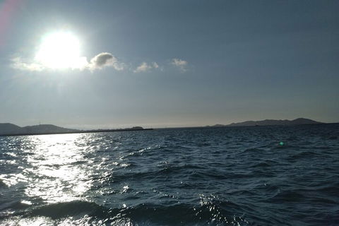Townsville Small Group Early Morning Sailing Cruise Boat Tour Charter Hire - Accommodation Burleigh 4