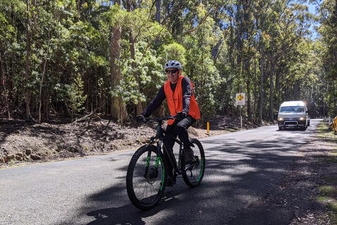 Mount Wellington Descent Cycling Tour Departs Hobart - Accommodation Burleigh 3